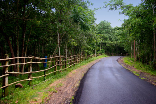 Maredumilli 1 Day tour package